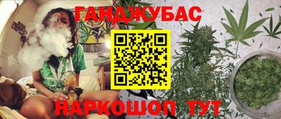 прущие грибы Новозыбков