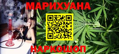 прущие грибы Новозыбков