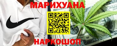 прущие грибы Новозыбков