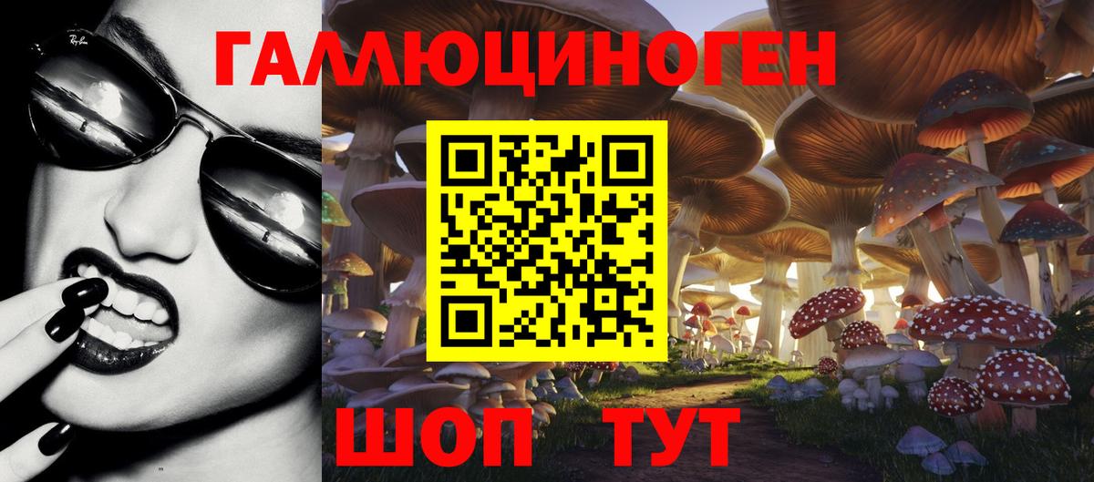 Псилоцибиновые грибы прущие грибы Сланцы
